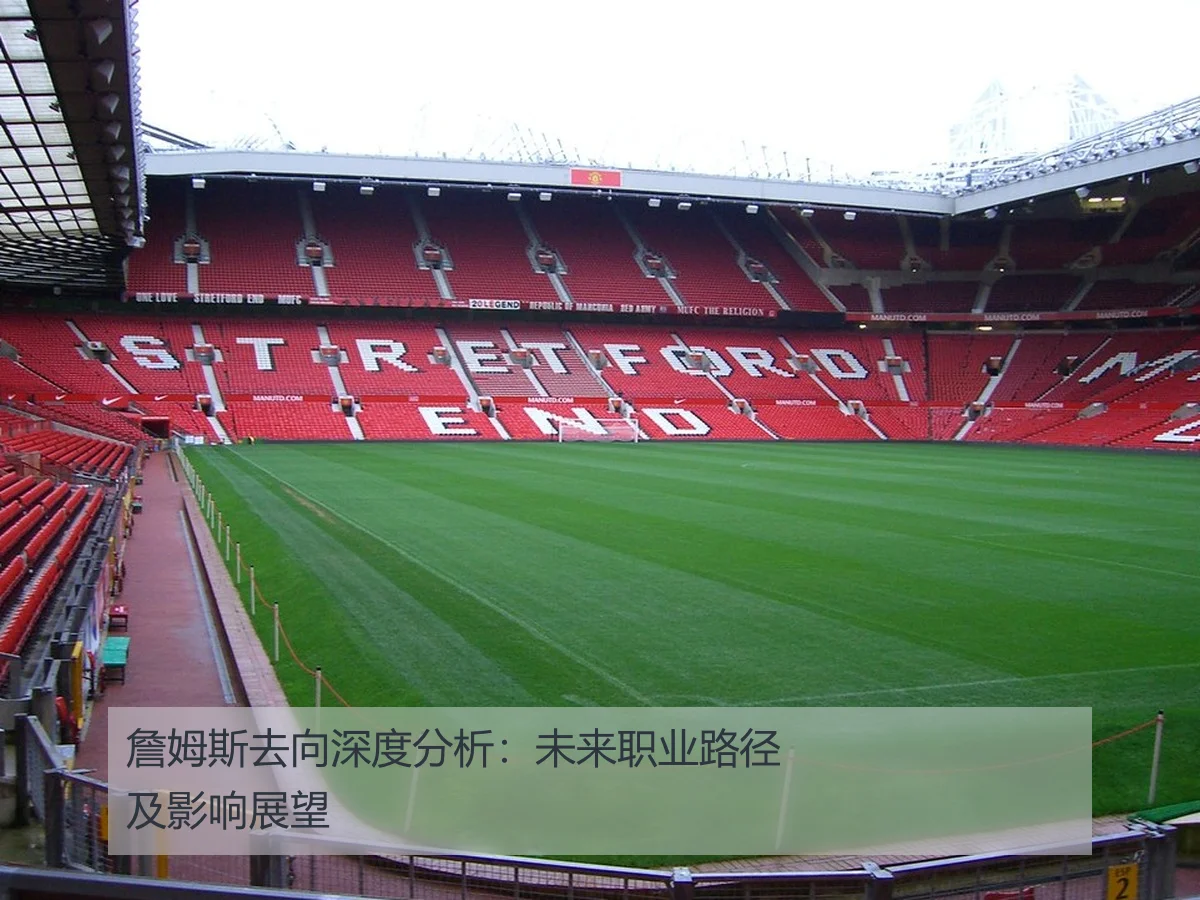詹姆斯去向深度分析：未来职业路径及影响展望